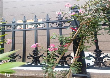 铝艺护栏